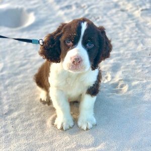 Meet your Posher, Angela